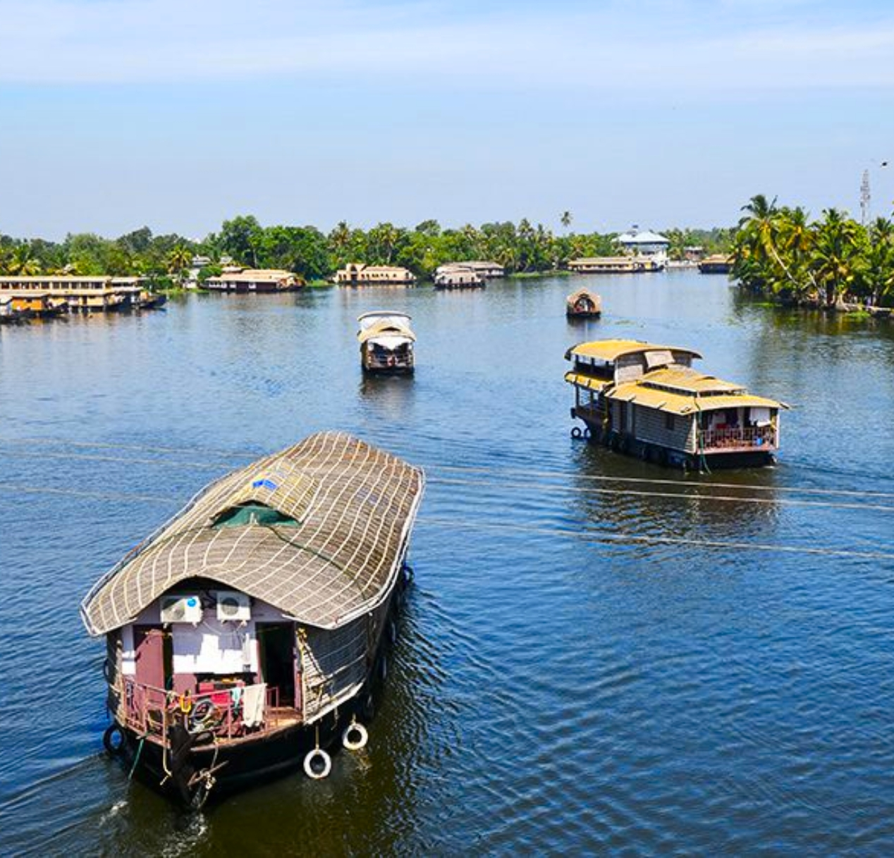 Explore the scenic views of Kerala as four traditional houseboats navigate a serene river, lined with lush green palm trees under a clear blue sky. These elegant boats with curved thatched roofs glide through calm waters, while charming buildings dot the distant shoreline.