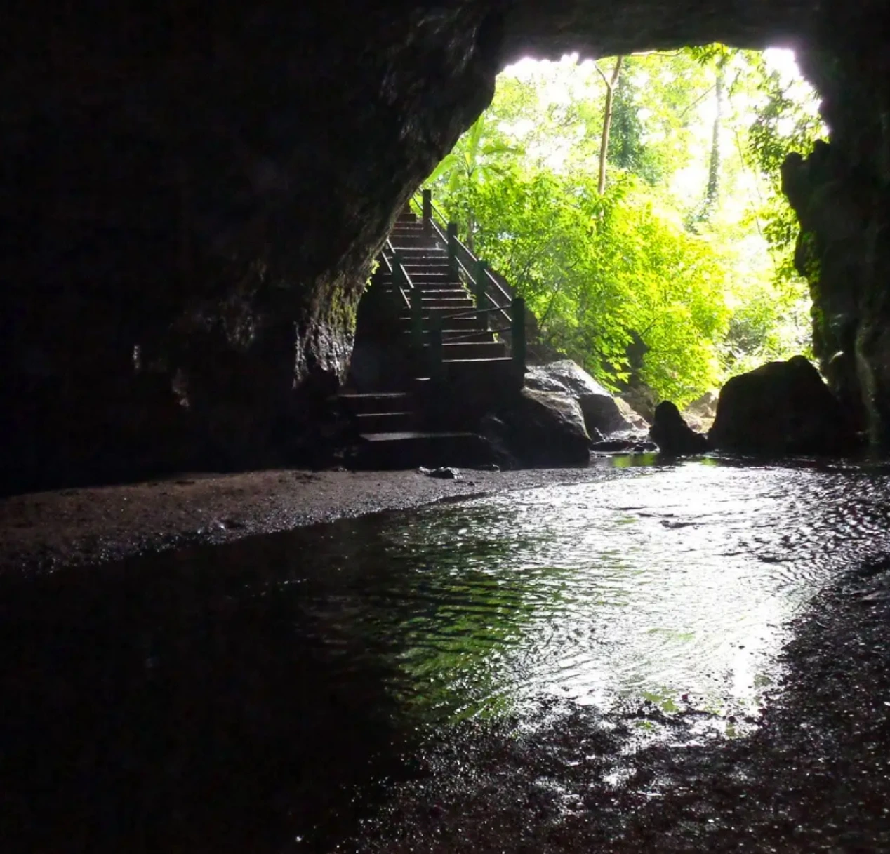 View from inside a dark meghalaya's cave showing its entrance, with a pool of water on the ground reflecting light. Stairs leading out of the cave are visible, surrounded by lush green foliage.